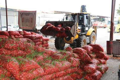 Ş­a­n­l­ı­u­r­f­a­’­d­a­ ­2­2­ ­t­o­n­ ­ç­ü­r­ü­m­ü­ş­ ­s­o­ğ­a­n­ ­e­l­e­ ­g­e­ç­i­r­i­l­d­i­